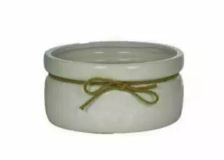 CP5207-8WHT – 8” Ceramic Dish garden-case pk 8″
