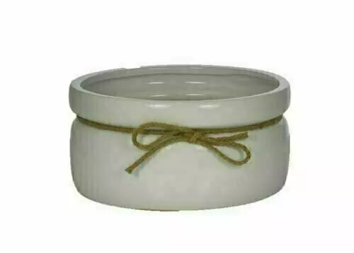 CP5207-8WHT – 8” Ceramic Dish garden-case pk 8″