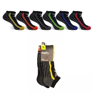 ELITE III CUSHION PERFORMANCE SOCKS — Large/XL