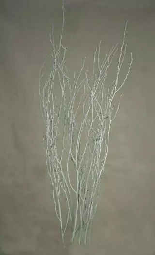 GAX3015-5WT – 32″ – 36″ Painted White Birch Stems-Pk 5 – min 2 bunches