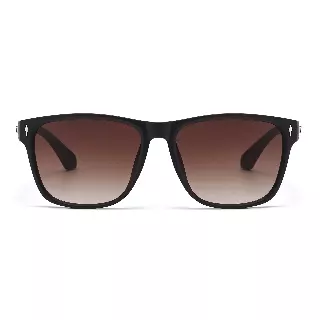 Sporty Wayfarer Sunglasses with Silver Eagle Wing Accent Side Details P11154