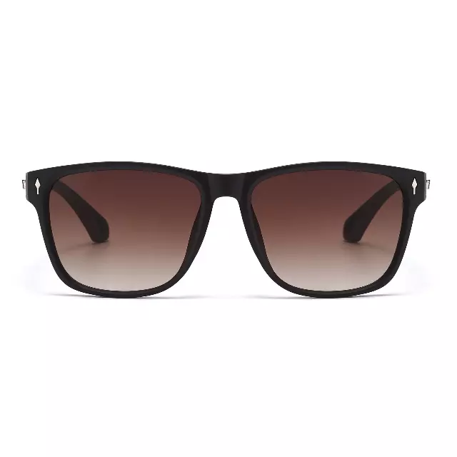 Sporty Wayfarer Sunglasses with Silver Eagle Wing Accent Side Details P11154
