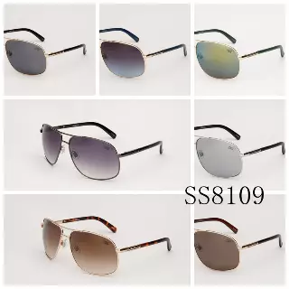 Metallic Double Bridge Aviator Sunglasses with Patterned Side Details SS8109