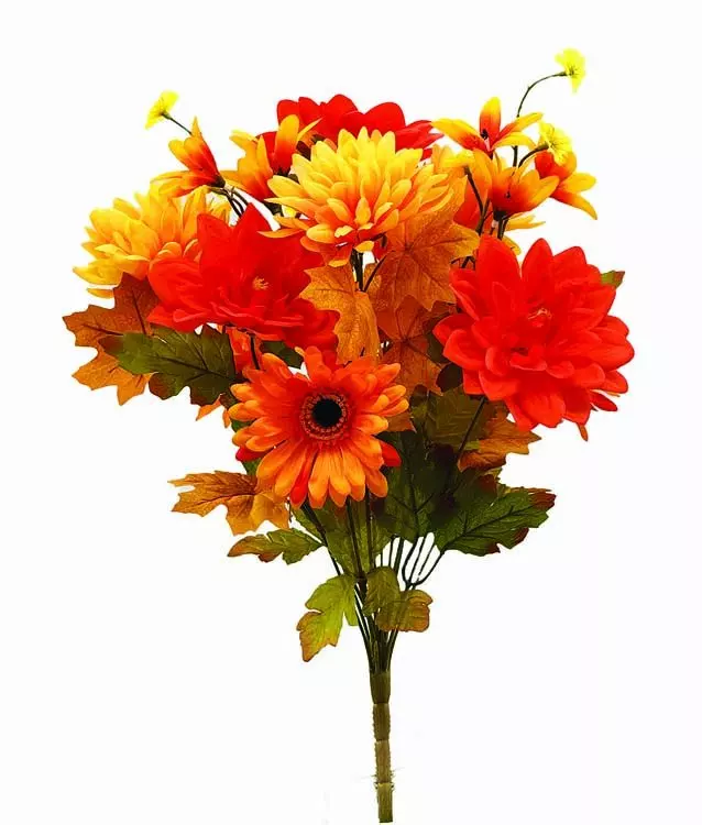 SBF2003- Mix Dahlia/Mum Bush x12-Min 6 – Case Pk 72