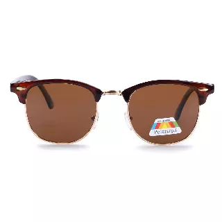 Classic Browline Polarized Sunglasses with Silver Side Rivets PL1947