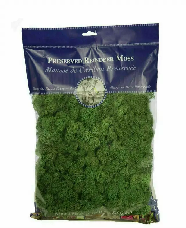 21757 – 1/2 lb bag Forest green reindeer Moss-“each” Min 1 box – Case 10 Boxes