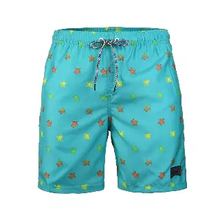 Boys' Quick-Dry Mesh-Lined Swim Trunks - Teal
