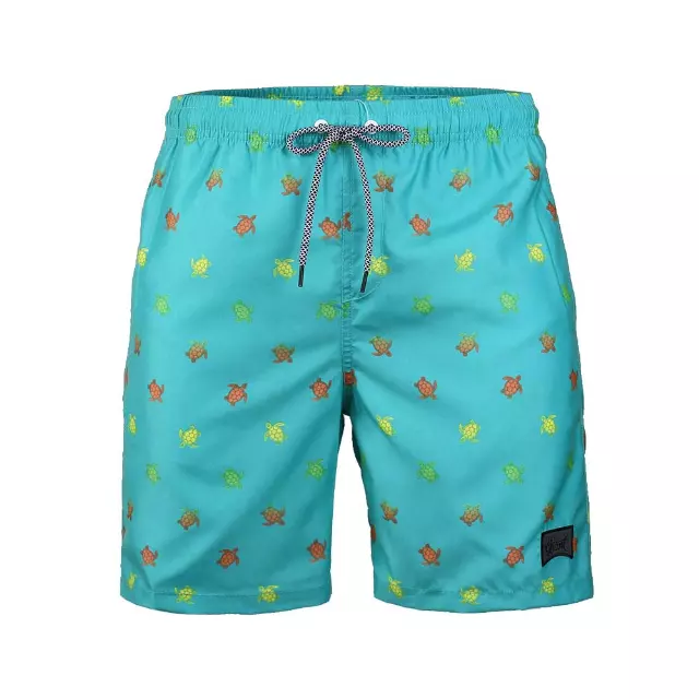 Boys' Quick-Dry Mesh-Lined Swim Trunks - Teal