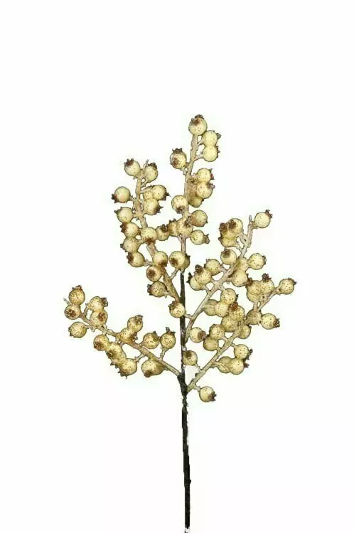 SSX2011Cream – 14” Berry Spray w/ Glitter- Min 12 pcs- Case pk 288