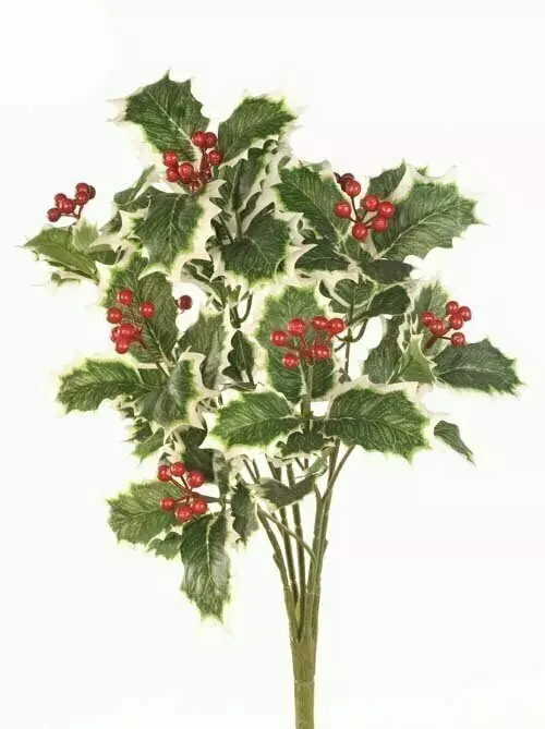 CEX04400 – 19” Holly /berry bush x11- Min 6 pcs- Case pk 144 Pcs