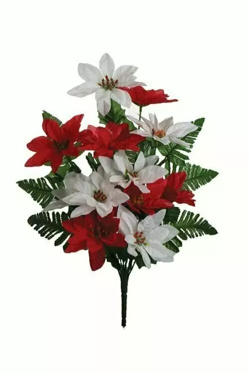 SBX3012RW – 20” One-sided Red/white poinsettia bush w/fern x12- Min 12 – Case Pk: 72