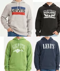 Levi's wholesale men's printed LOGO hood sweatshirts 48pcs.