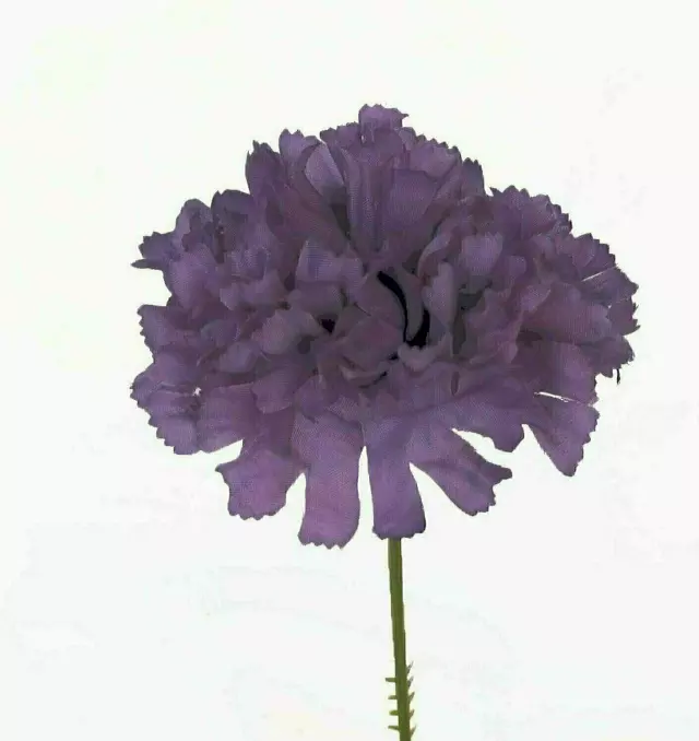 S3000PURPLE – Carnation pick (1 box 100pcs) (Min. 1 Box)