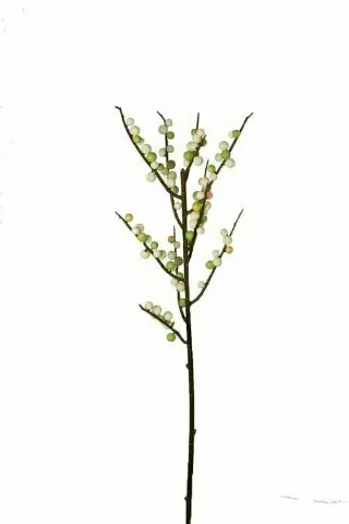 PLX3999Grn/Wht – 21” Large Plastic Winterberry “ea” – Min 12 pcs – Case Pack 240