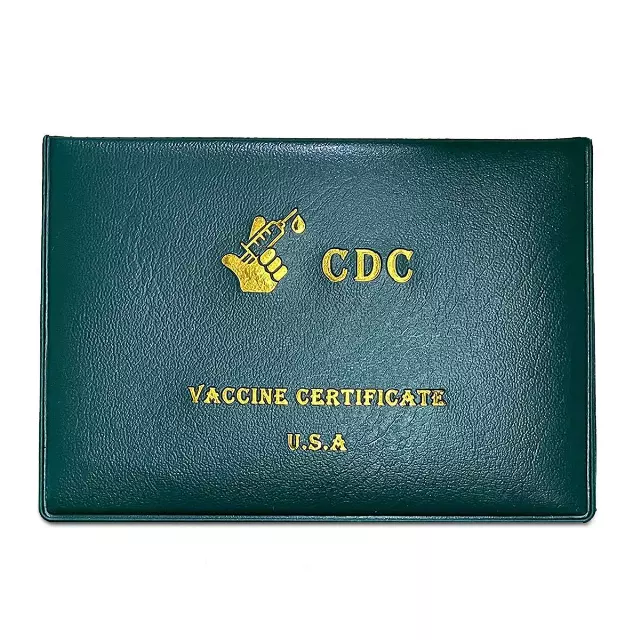 FAUX LEATHER CARD & PASSPORT HOLDER (2PK) — Green
