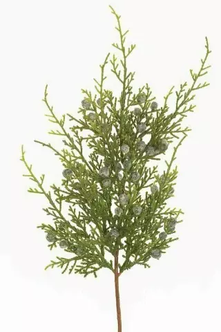 PPX9083 – 12” Oregon Juniper Pick spray x8 – Min 2 Dz – Case Pk – 48 Dz