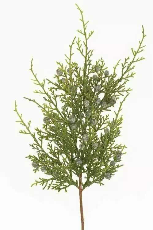 PPX9083 – 12” Oregon Juniper Pick spray x8 – Min 2 Dz – Case Pk – 48 Dz