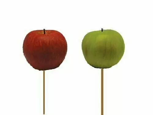 PPX2014 – 2 Assorted color Natural size Apple pick- Min 1 dz- Case pk. 24 dz