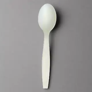 FROZEN SOLUTIONS Compostable Ice Cream Spoons 6.5" 1000x ct. CPLA - Closeout