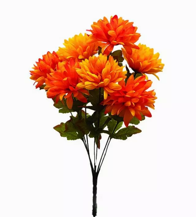 SBF2004-Mix Color Bush x7 – SOLD BY EACH – MIN 12 – Case Pk 144