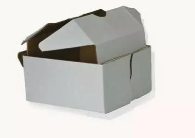 BX007 – 6”x6”x3.5” Med. waxed Corrugated Adjustable packer wax bottom (100pc)- Case 1 box