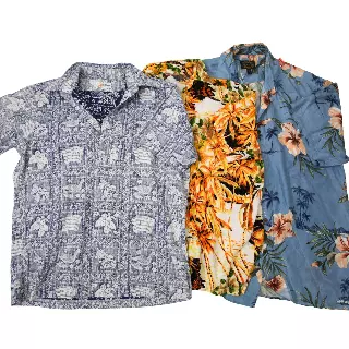 Vintage & Modern Hawaiian Shirt Box of 50 lbs