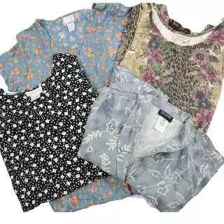 Vintage & Modern Women's Plus Size Dress Mix Of 10