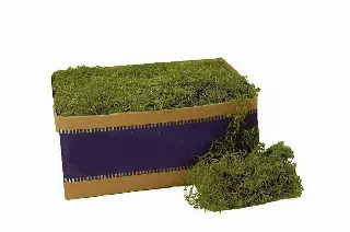 26927 – 3 lb bulk preserved Green spanish moss-“Box” Min 1 box