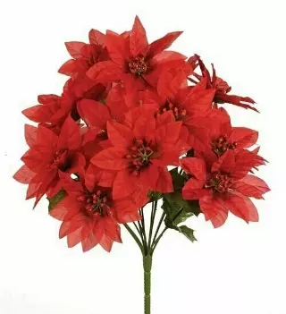 SBX04101RED – Poinsettia bush x14- Min 12 Pcs – Case Pk; 120 Pcs
