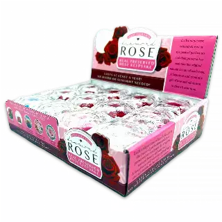 Diamond Real Preserved Rose Keepsake - 12 Pieces Per Retail Ready Display 24888