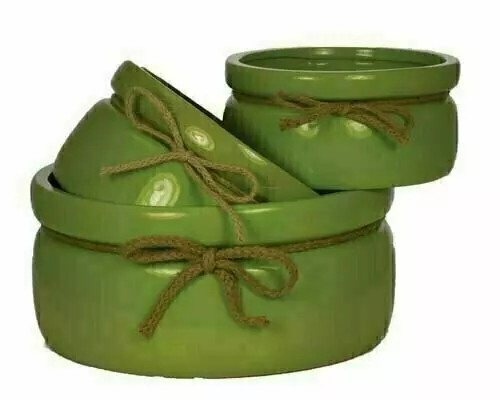 CP5206GRN – S/3 8”-10”-12” Ceramic Dish garden with rope-“case pk 1”