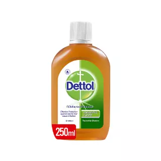 DETTOL ANTISEPTIC LIQUID 250 ML CASE PK 60