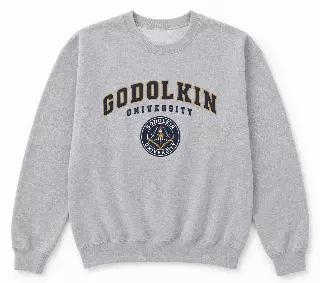 THE BOYS GODOLKIN UNIVERSITY CREWNECK HTR GREY ZVBM2031