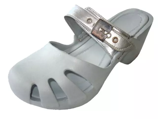 S5800L - Women's Wedge Clog Sandals — Silver (S5800L-S) / 5-10 Assorted