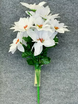 SBX04101WHITE – Poinsettia bush x14-Min 12 Pcs – Case Pk 120