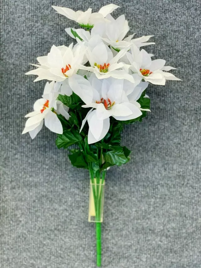 SBX04101WHITE – Poinsettia bush x14-Min 12 Pcs – Case Pk 120