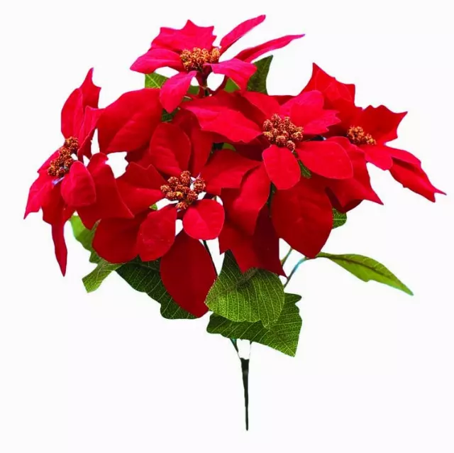 SBX04103RD – 5″ Red Velvet Poinsettia x5-“each”- Min 24 pcs – Case Pk 288 Pcs
