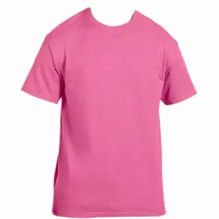 Hanes Short Sleeve Crewneck T-Shirts Pink · 288 · mixed sizes
