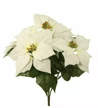 CEX04401WHITE – 18” Velvet Poinsettia bush x5- Min 12 pcs – Case Pk 120 pcs