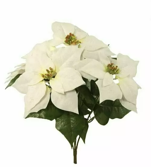 CEX04401WHITE – 18” Velvet Poinsettia bush x5- Min 12 pcs – Case Pk 120 pcs