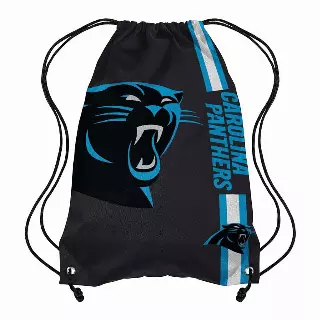 NFL Carolina Panthers Fan Pack lot · 50 pieces · new, shelf pull