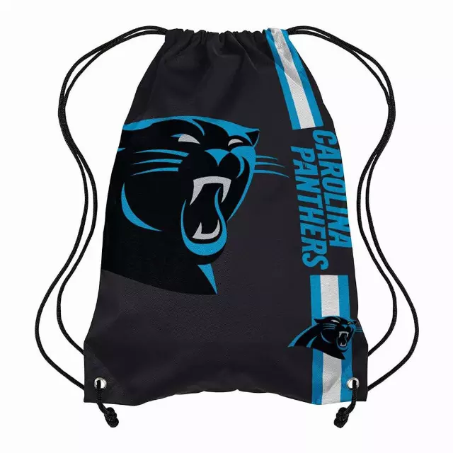 NFL Carolina Panthers Fan Pack lot · 50 pieces · new, shelf pull
