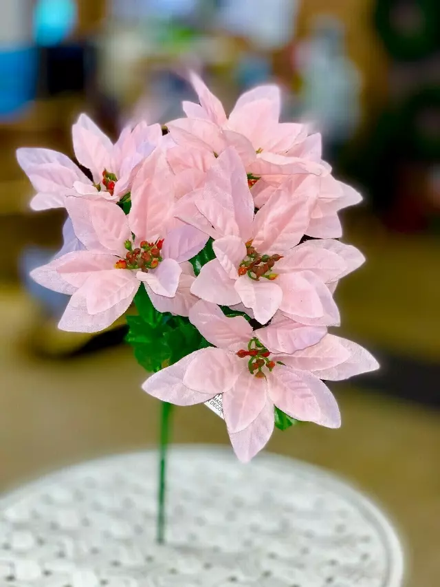 SBX04100PINK – Poinsettia bush x7 Min 24 Pcs – Case Pk 240 Pcs