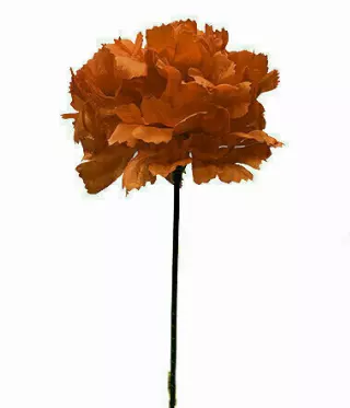 S3000RD – Carnation pick (1 box 100pcs) (Min. 1 Box)