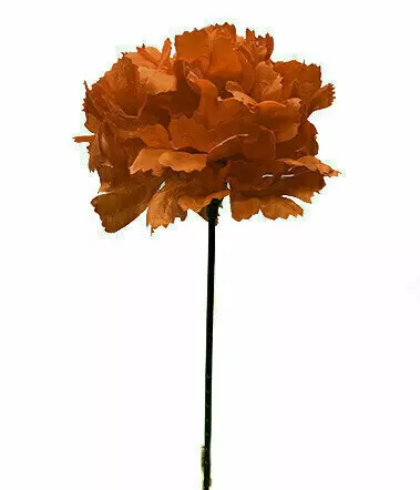 S3000RD – Carnation pick (1 box 100pcs) (Min. 1 Box)