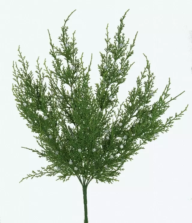 SBX1002GN – 20” Oregon Juniper bush x7- (each) Min 6 – Case Pk 96