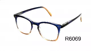 R6069 Classic unisex reading glasses — +2.50(12PCS)