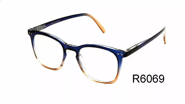 R6069 Classic unisex reading glasses — +2.50(12PCS)