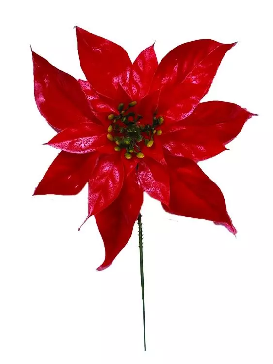 PLX2001RD – 10” Plastic Poinsettia pick (100 ct) Min 1 Box – Case Pk 6 Boxes