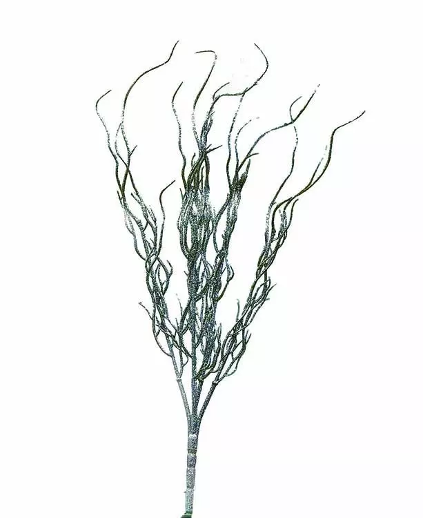 XP1035SL-19″ Glitter Twig Spray x5- “Dozen”- Min 6 Dz. – Case Pk : 36 Dz